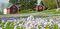 Logo for Sunnhordland Botaniske Forening